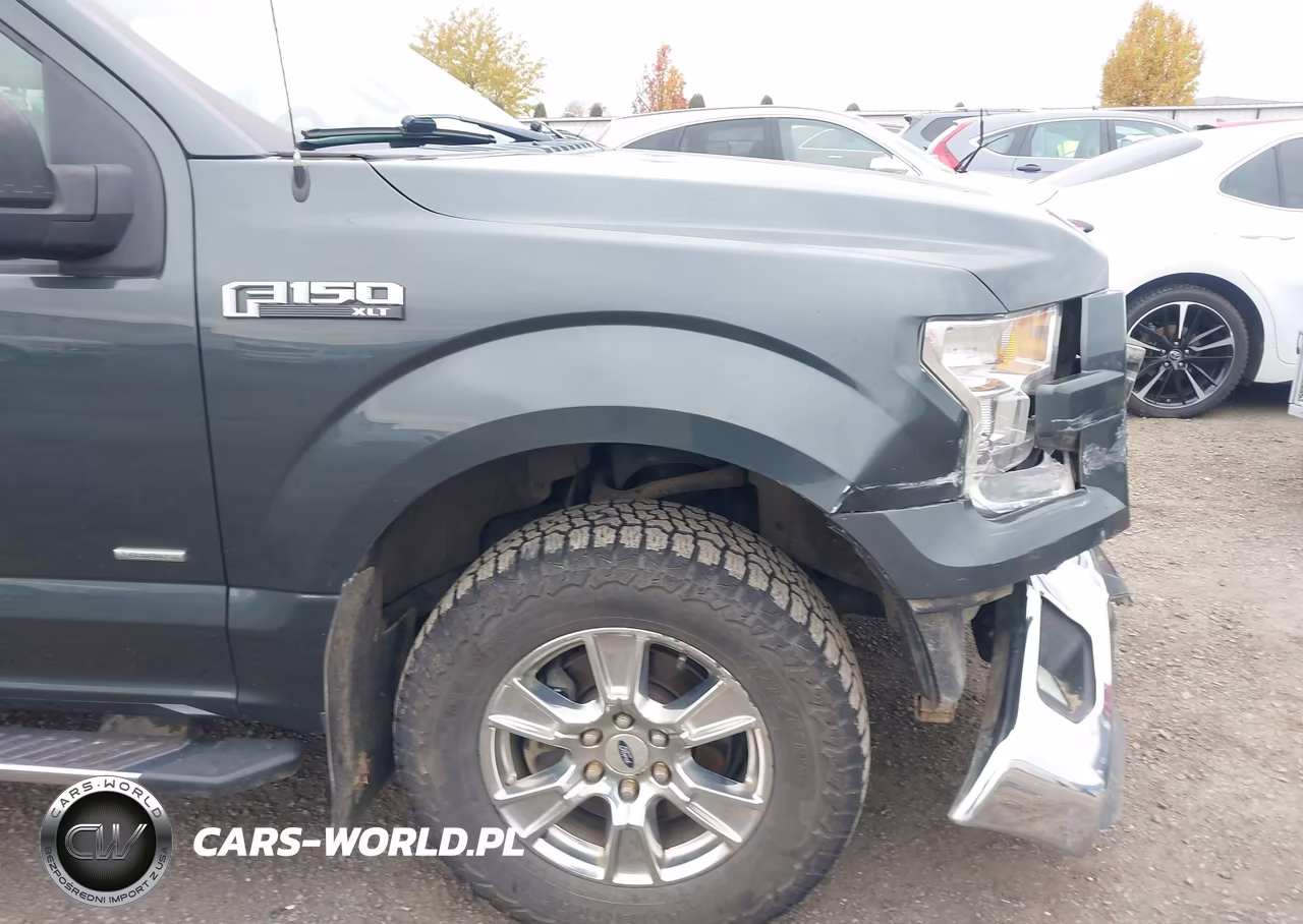 2015 Ford F-150 Xlt VIN:1FTFW1EG0FFA64498 - 18