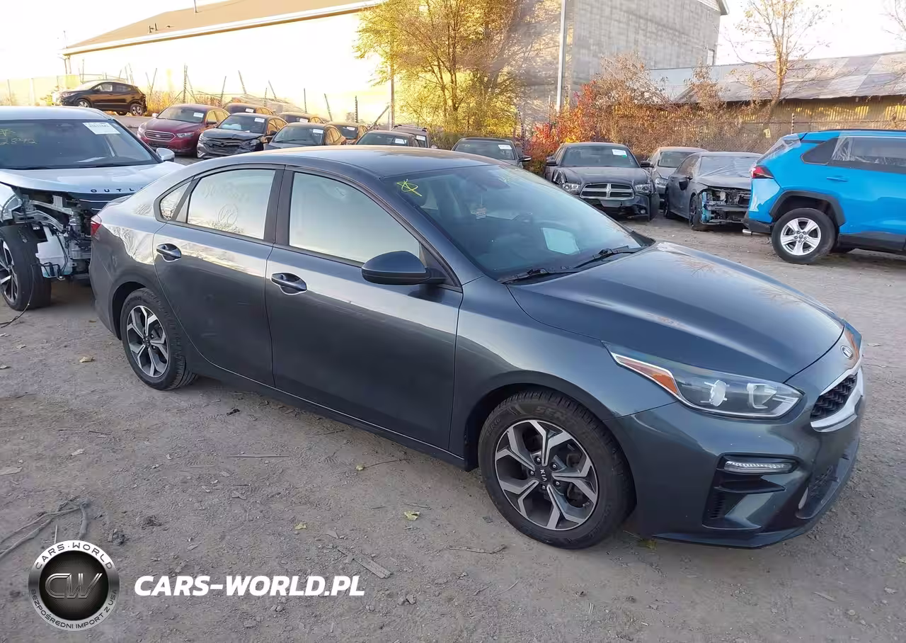 2019 Kia Forte Lxs