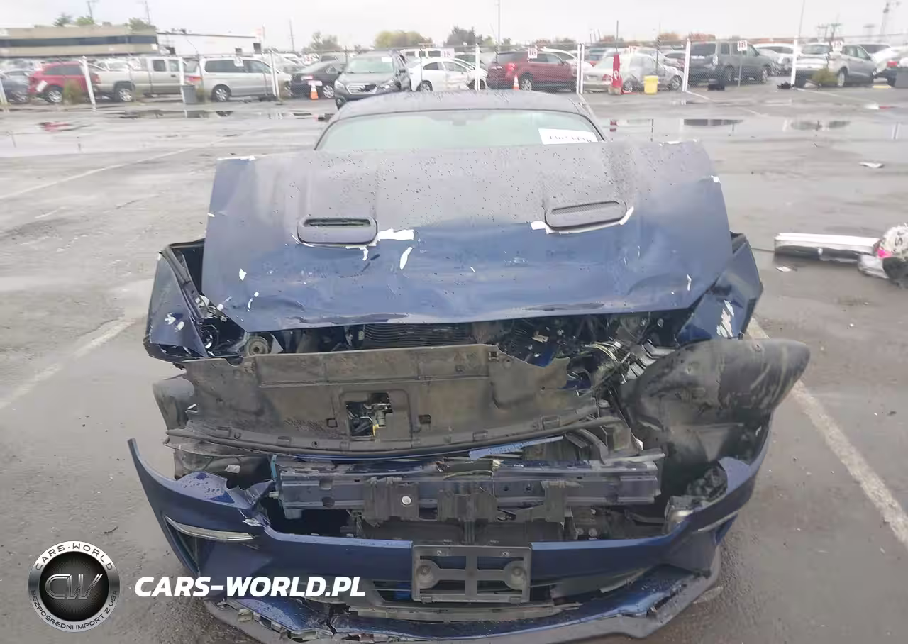 2020 Ford Mustang Ecoboost Fastback VIN:1FA6P8TH0L5189736 - 11