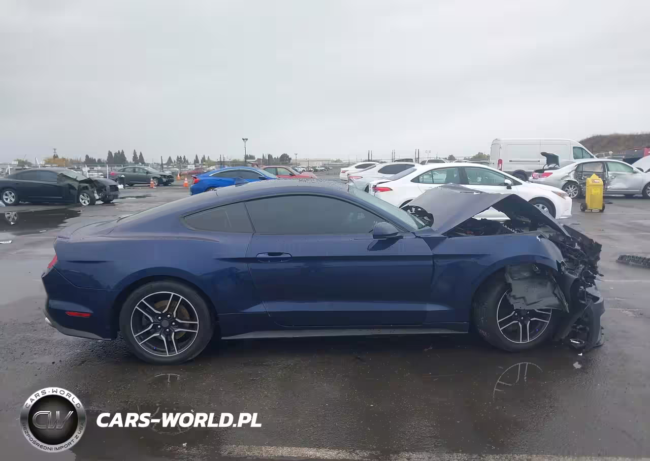2020 Ford Mustang Ecoboost Fastback VIN:1FA6P8TH0L5189736 - 12