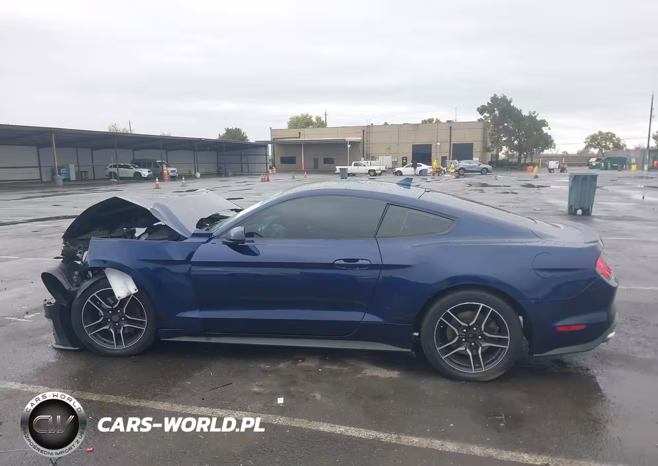 2020 Ford Mustang Ecoboost Fastback VIN:1FA6P8TH0L5189736 - 13