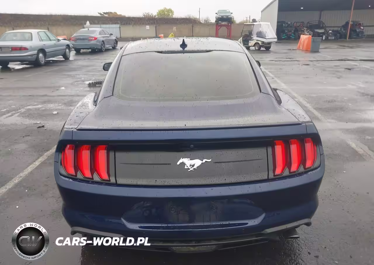 2020 Ford Mustang Ecoboost Fastback VIN:1FA6P8TH0L5189736 - 15