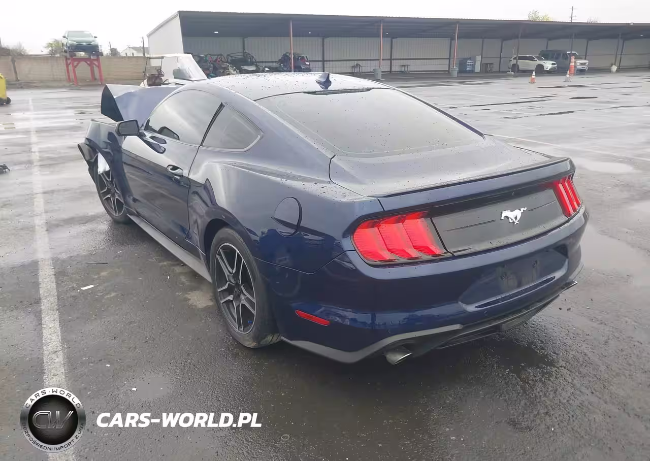 2020 Ford Mustang Ecoboost Fastback VIN:1FA6P8TH0L5189736 - 3