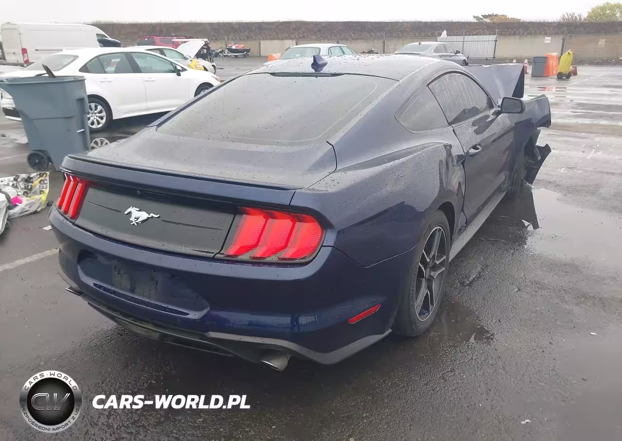 2020 Ford Mustang Ecoboost Fastback VIN:1FA6P8TH0L5189736 - 4