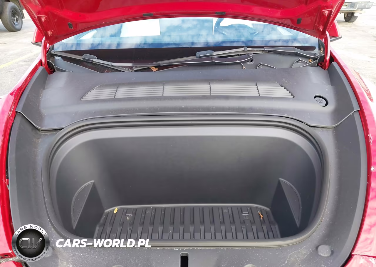 2023 Tesla Model Y Performance Dual Motor All-Wheel Drive VIN:7SAYGDEF1PF924285 - 10