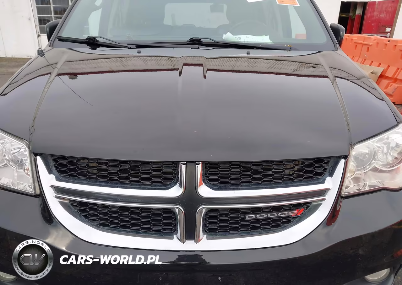 2017 Dodge Grand Caravan Sxt VIN:2C4RDGCG1HR698844 - 10