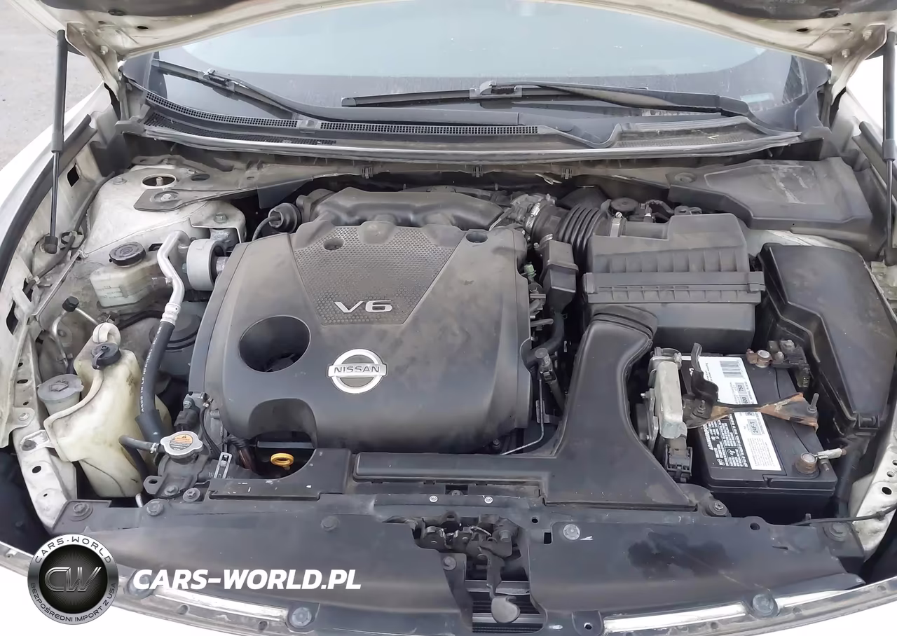 2009 Nissan Maxima 3.5 Sv VIN:1N4AA51E19C844087 - 10