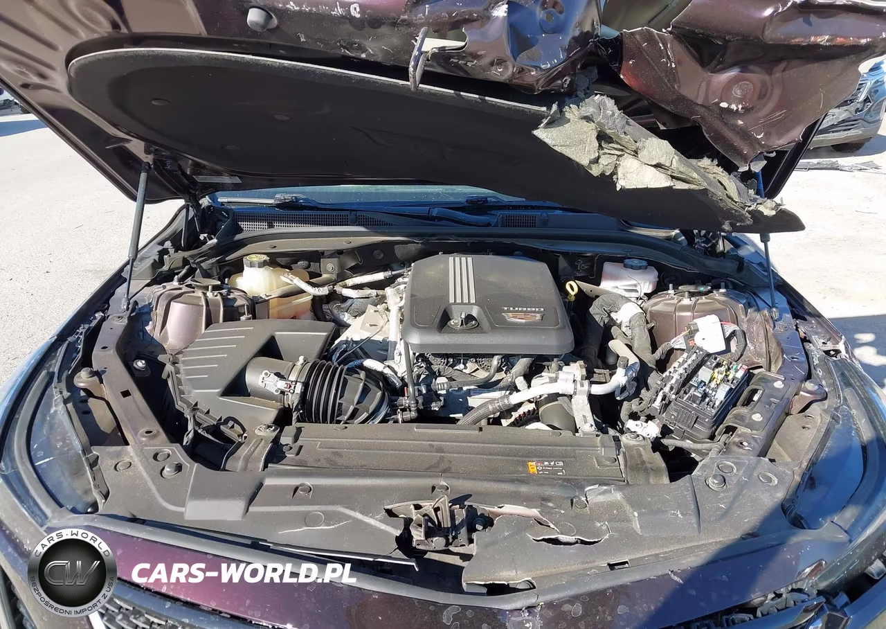 2021 Cadillac Ct5 Luxury VIN:1G6DW5RK2M0109943 - 10