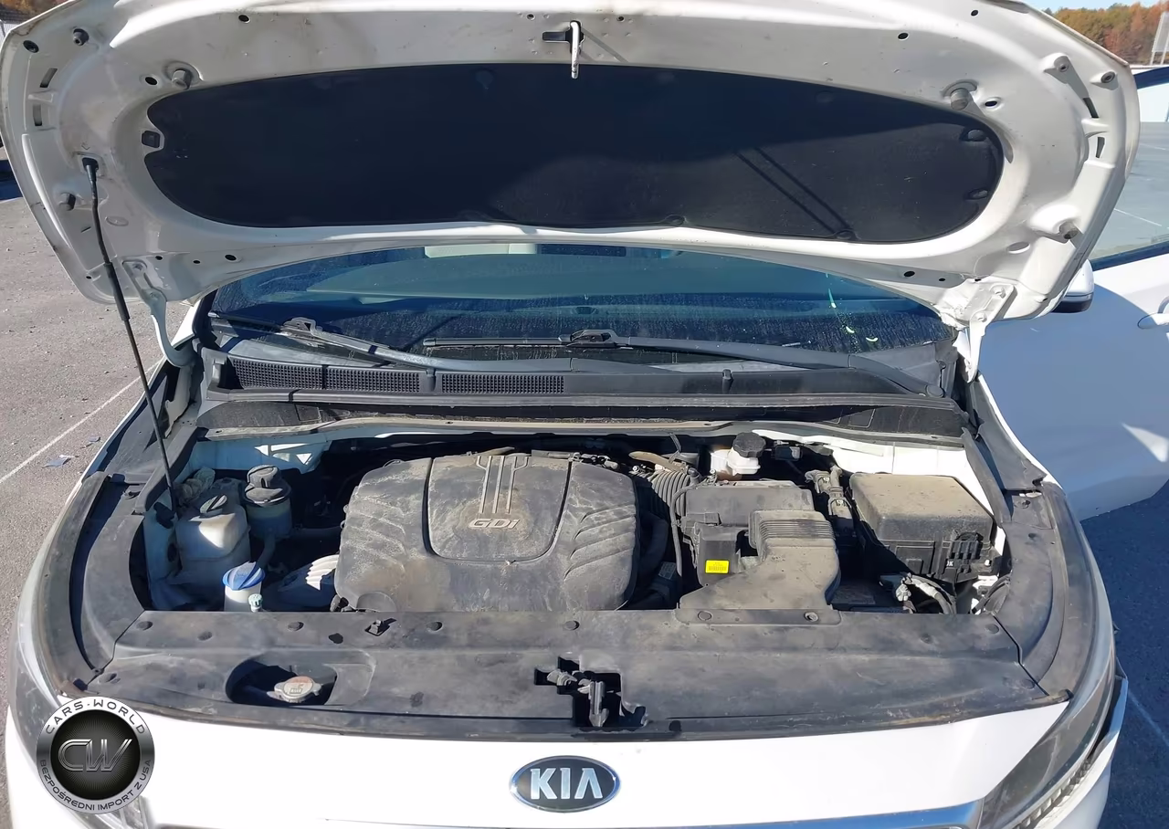 2016 Kia Sedona Lx VIN:KNDMB5C18G6188321 - 10