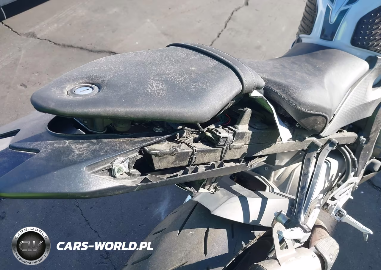 2017 BMW S 1000 Rr VIN:WB10D6007HZ710623 - 12