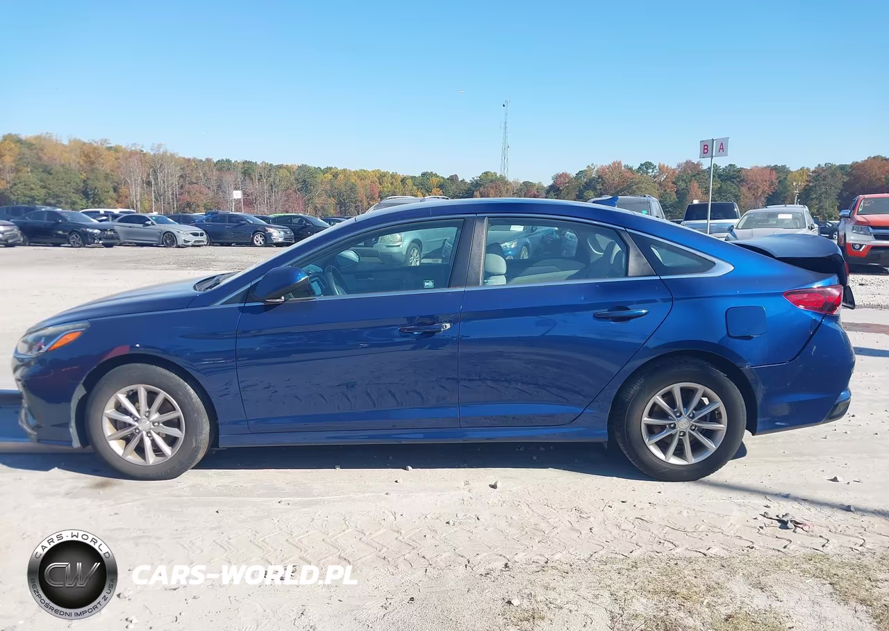 2018 Hyundai Sonata Se VIN:5NPE24AF0JH657007 - 13