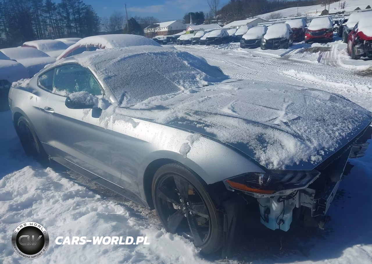 2022 Ford Mustang Ecoboost Fastback