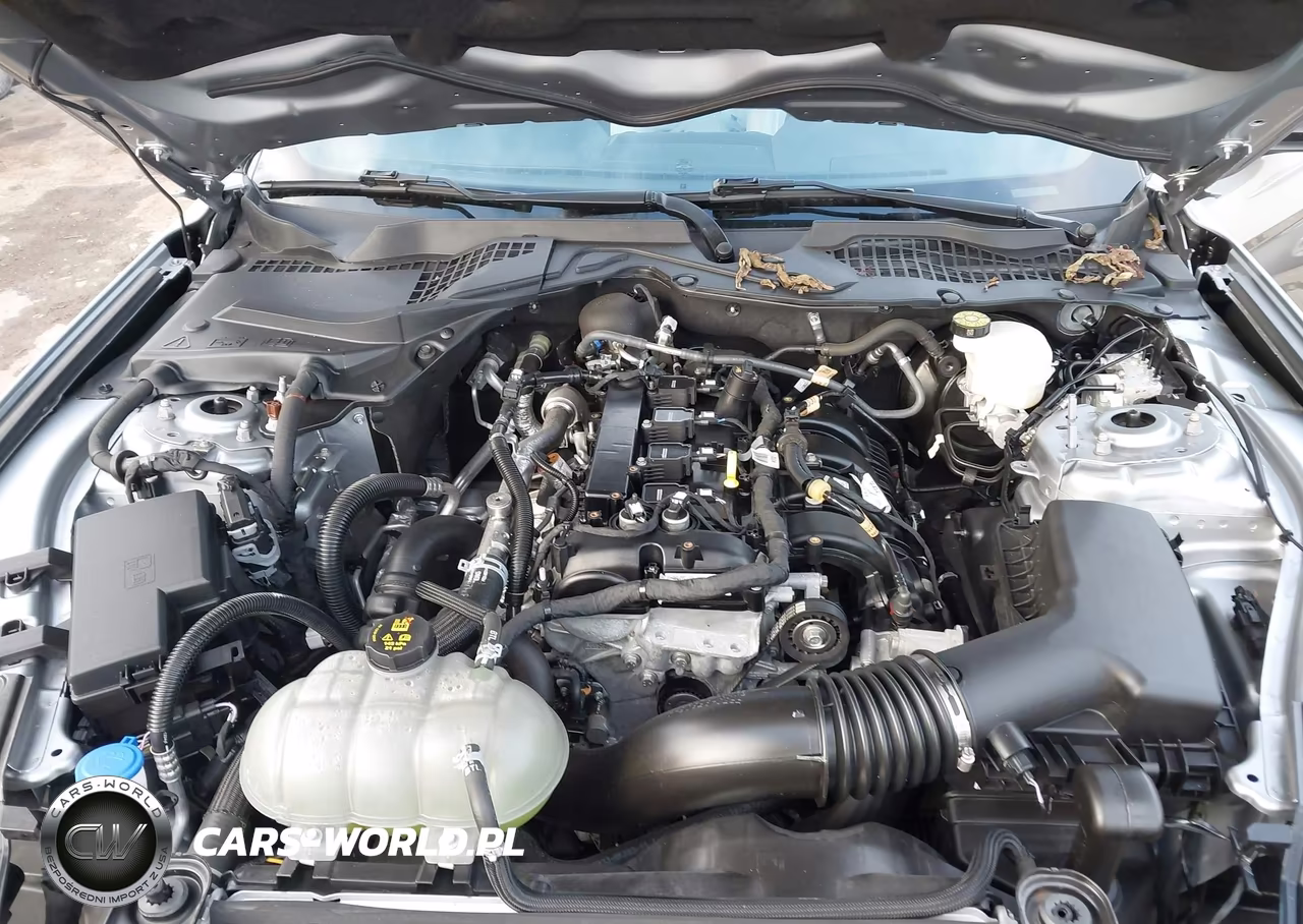 2022 Ford Mustang Ecoboost Fastback VIN:1FA6P8TH7N5127060 - 10
