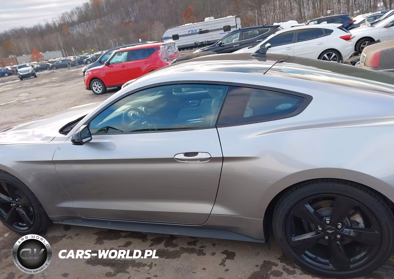 2022 Ford Mustang Ecoboost Fastback VIN:1FA6P8TH7N5127060 - 15