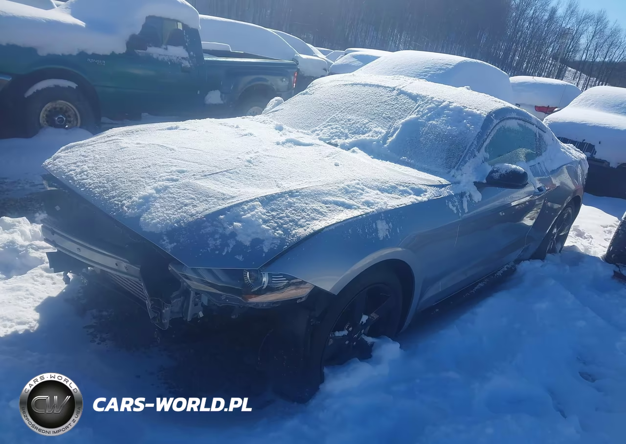2022 Ford Mustang Ecoboost Fastback VIN:1FA6P8TH7N5127060 - 2