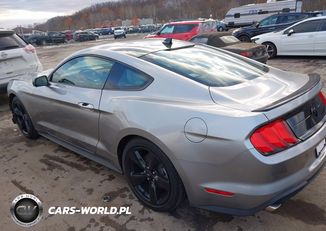 2022 Ford Mustang Ecoboost Fastback VIN:1FA6P8TH7N5127060 - 3