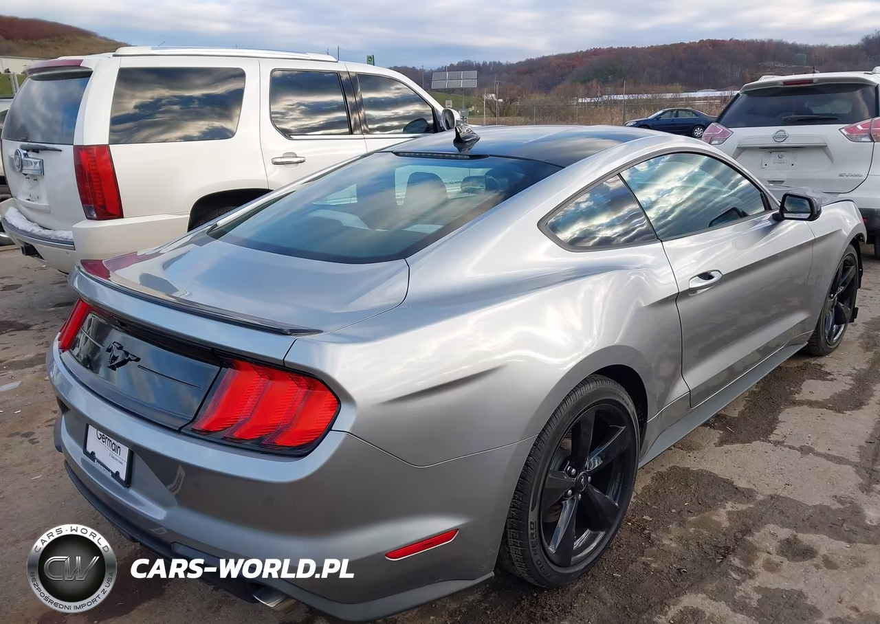 2022 Ford Mustang Ecoboost Fastback VIN:1FA6P8TH7N5127060 - 4