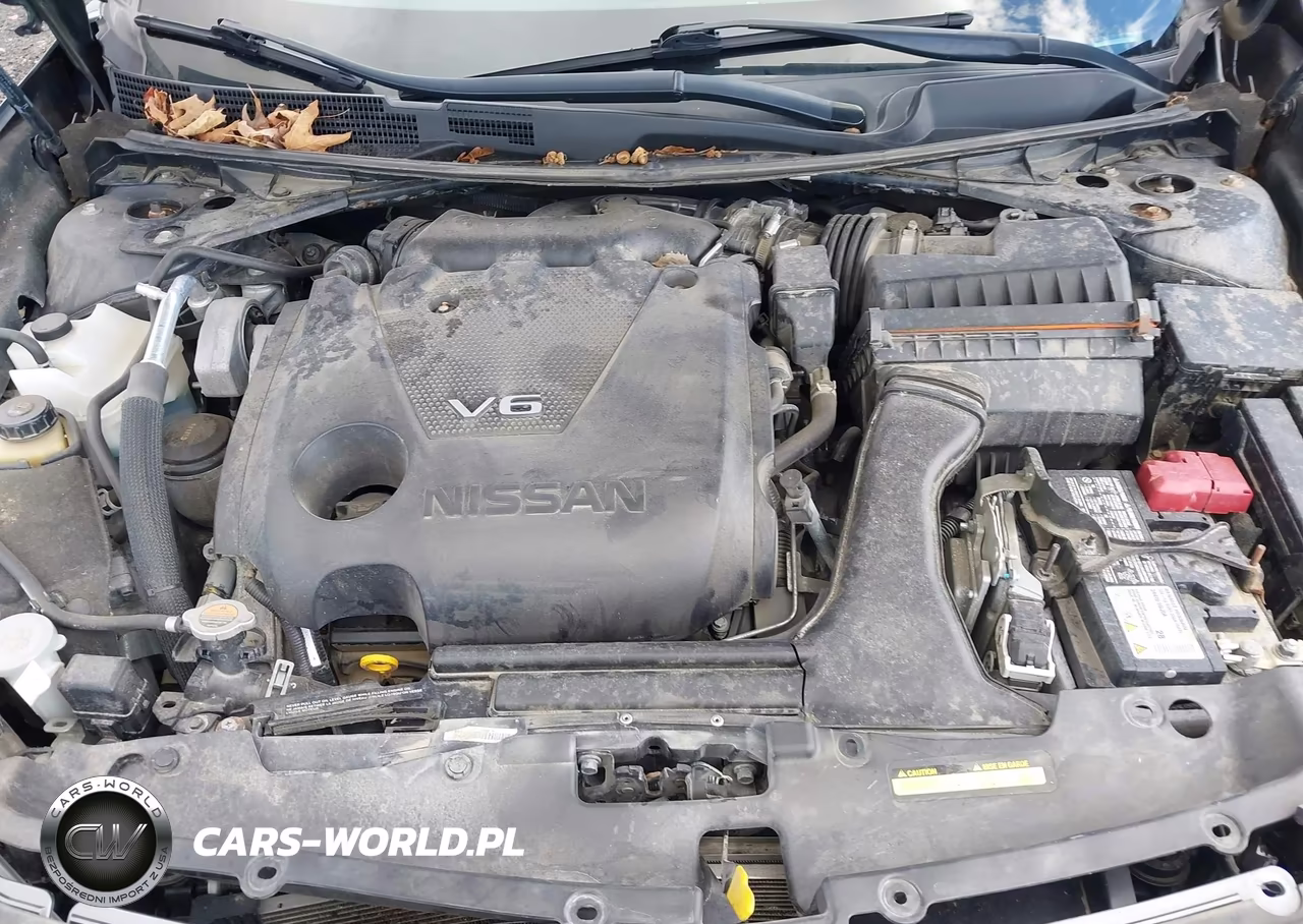 2019 Nissan Maxima 3.5 Sv VIN:1N4AA6AV2KC366709 - 10