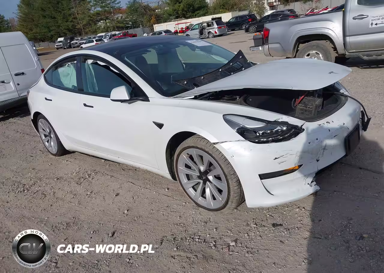 2023 Tesla Model 3 Rear-Wheel Drive