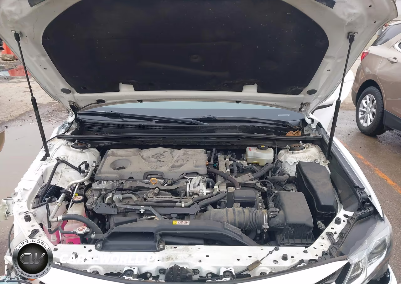 2020 Toyota Camry Le Hybrid VIN:4T1C31AK0LU533761 - 10