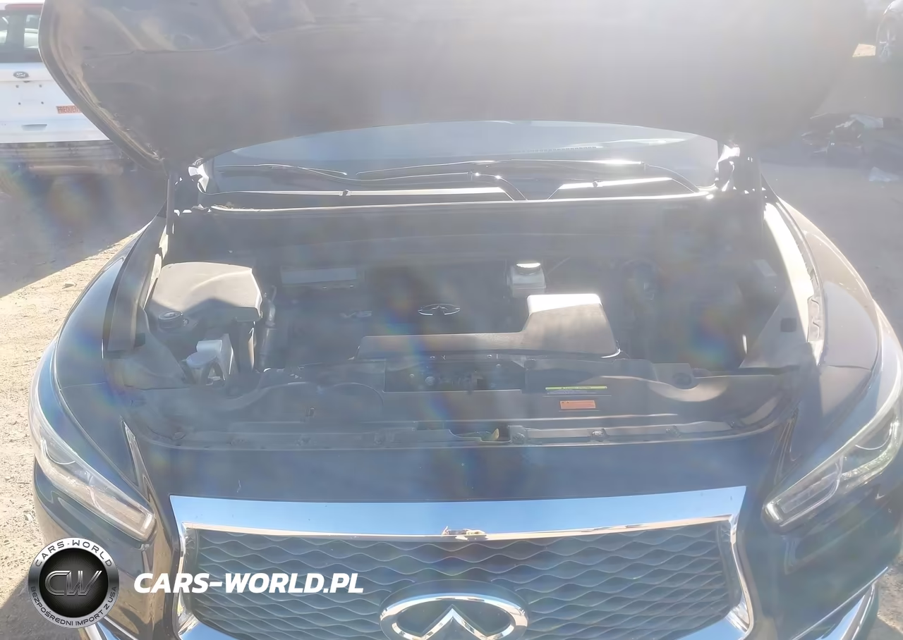 2019 Infiniti Qx60 Luxe VIN:5N1DL0MM9KC506395 - 10