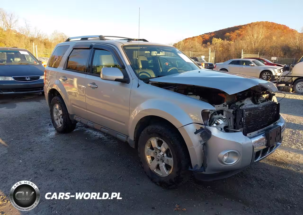 2010 Ford Escape Limited