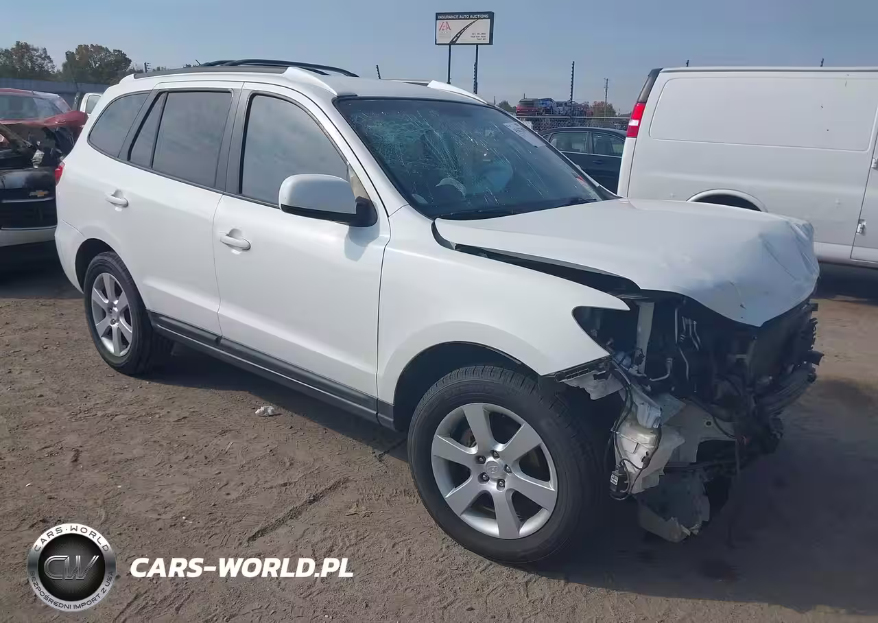 2009 Hyundai Santa Fe Se