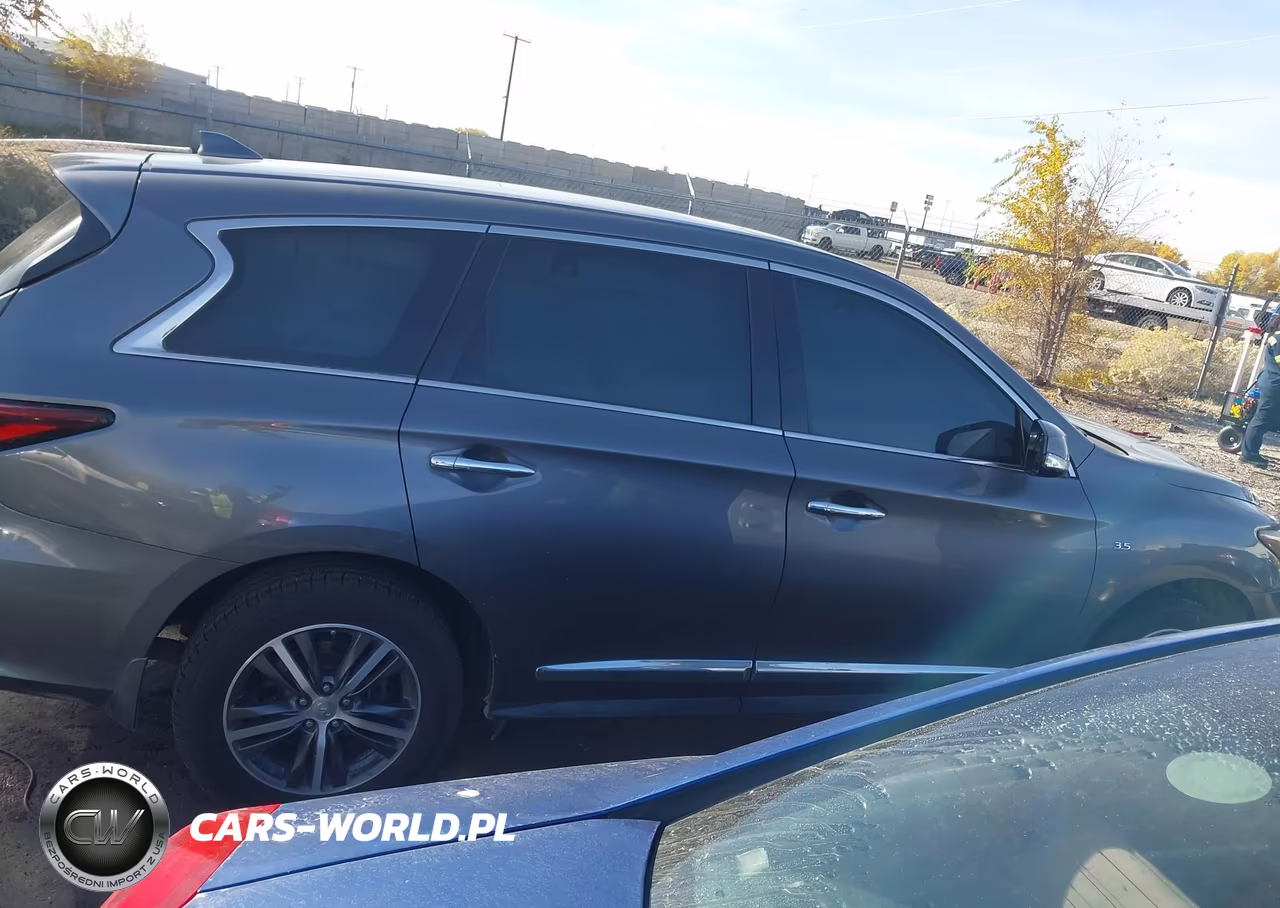 2019 Infiniti Qx60 Pure VIN:5N1DL0MM7KC514382 - 13