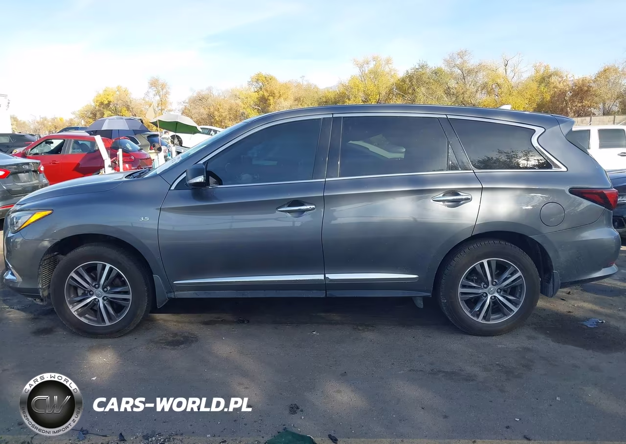2019 Infiniti Qx60 Pure VIN:5N1DL0MM7KC514382 - 14