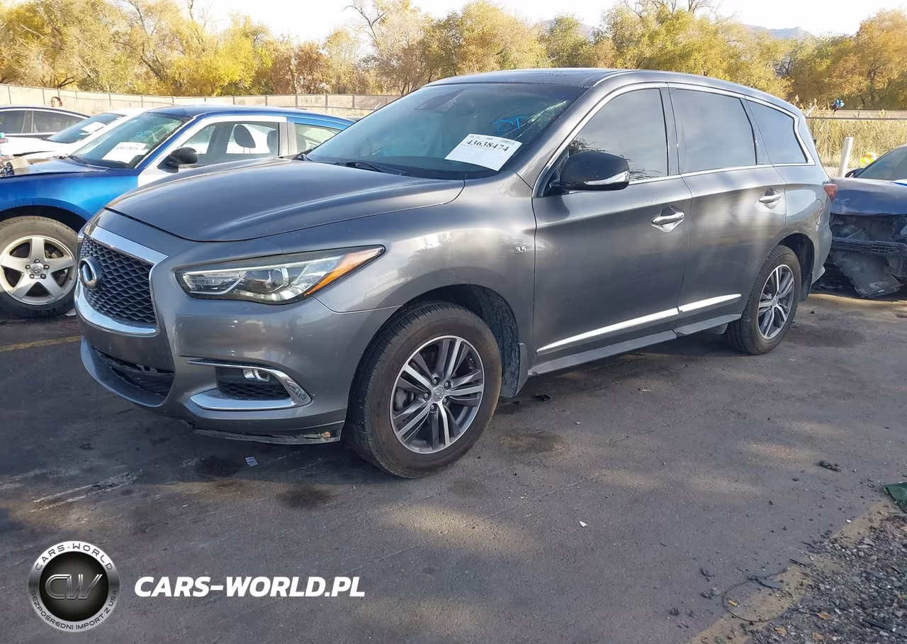 2019 Infiniti Qx60 Pure VIN:5N1DL0MM7KC514382 - 2