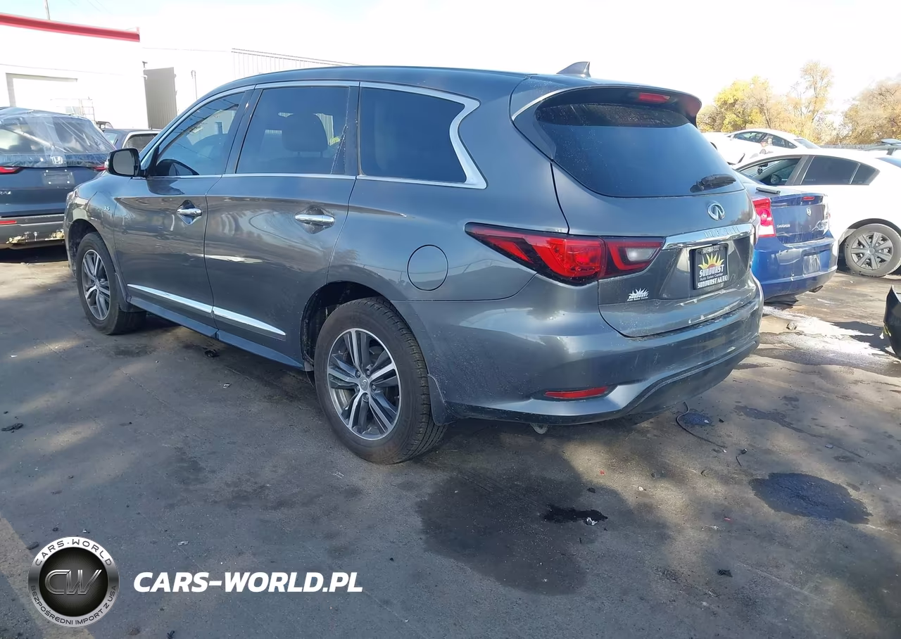 2019 Infiniti Qx60 Pure VIN:5N1DL0MM7KC514382 - 3