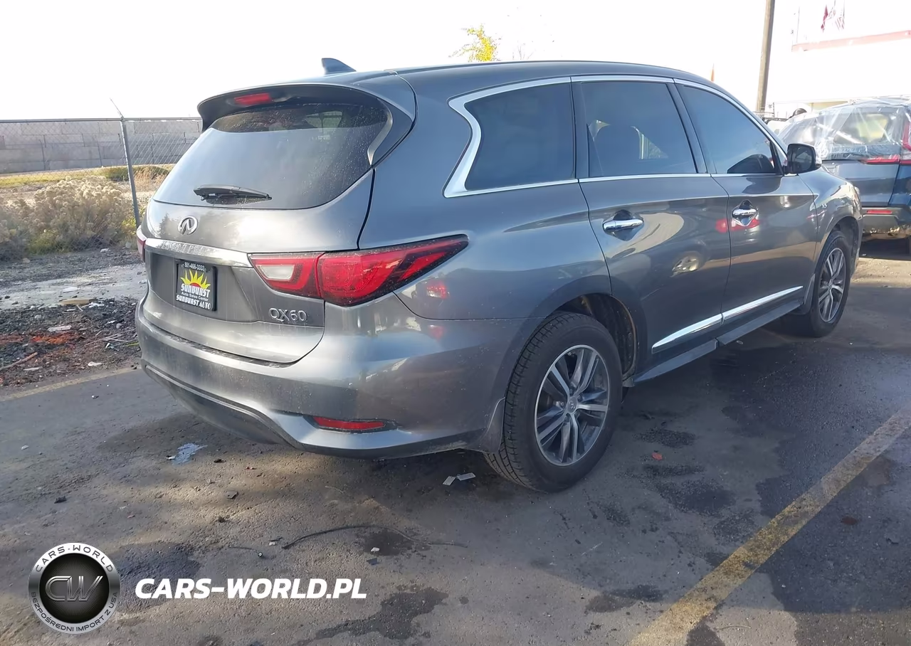 2019 Infiniti Qx60 Pure VIN:5N1DL0MM7KC514382 - 4