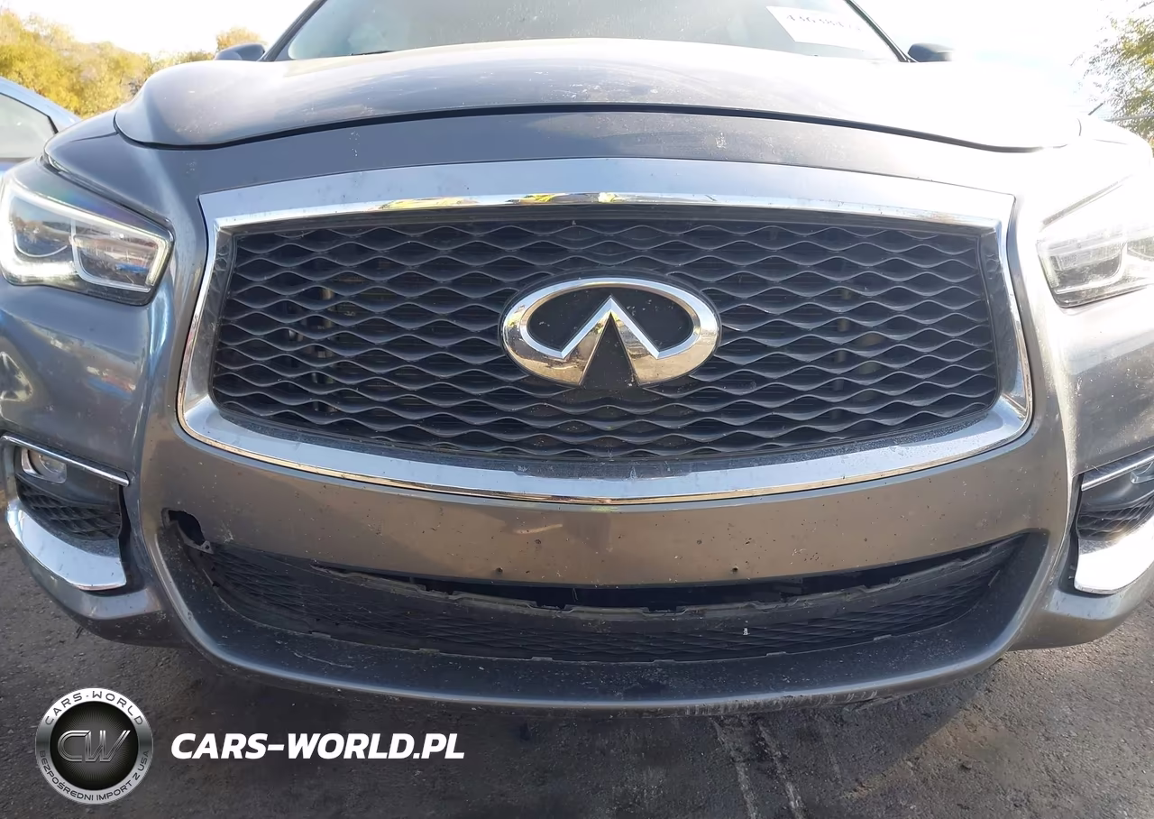 2019 Infiniti Qx60 Pure VIN:5N1DL0MM7KC514382 - 6