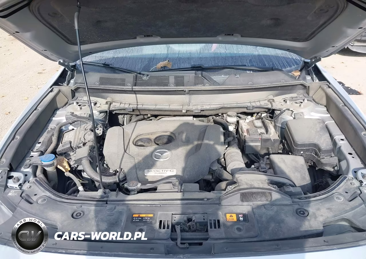 2021 Mazda Cx-9 Grand Touring VIN:JM3TCBDYXM0523474 - 10