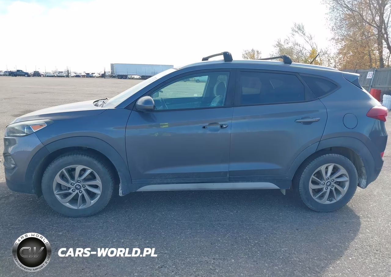 2017 Hyundai Tucson Se VIN:KM8J3CA43HU443418 - 13