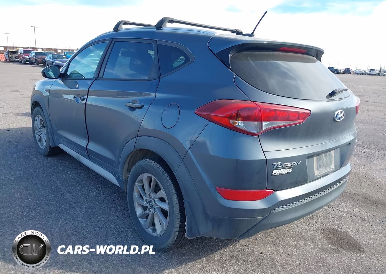 2017 Hyundai Tucson Se VIN:KM8J3CA43HU443418 - 3