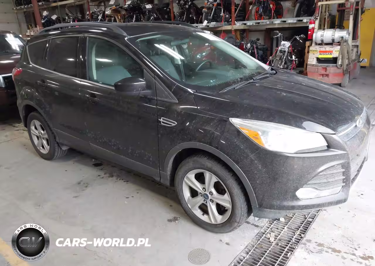 2013 Ford Escape Se