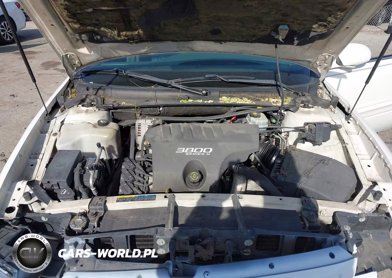 2002 Buick Lesabre Custom VIN:1G4HP54KX24131984 - 10