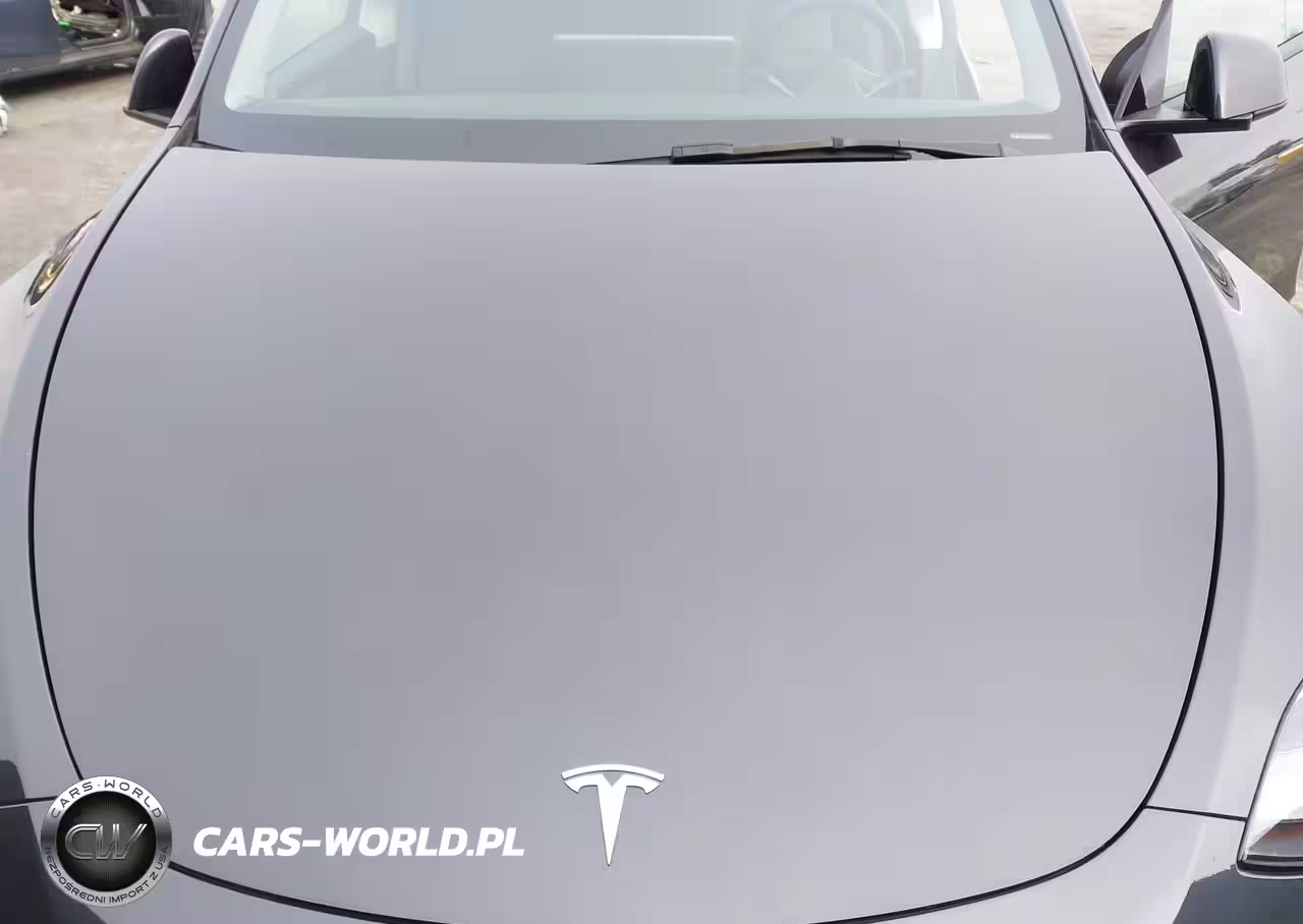 2024 Tesla Model Y Long Range Dual Motor All-Wheel Drive VIN:7SAYGDEE9RF126594 - 10
