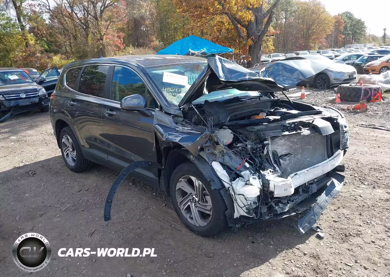 2023 Hyundai Santa Fe Se