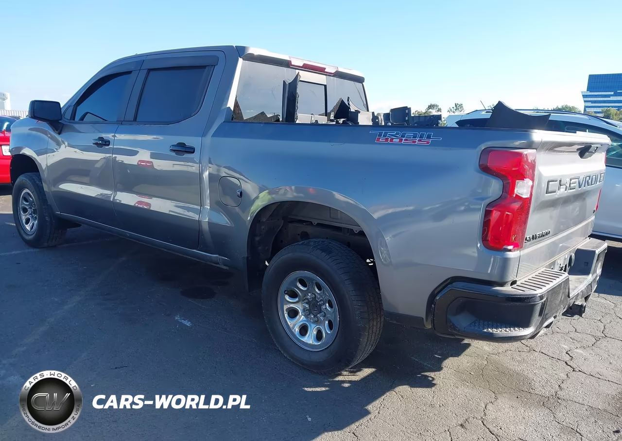 2020 Chevrolet Silverado 1500 4Wd Short Bed Lt Trail Boss VIN:3GCPYFED1LG327075 - 3