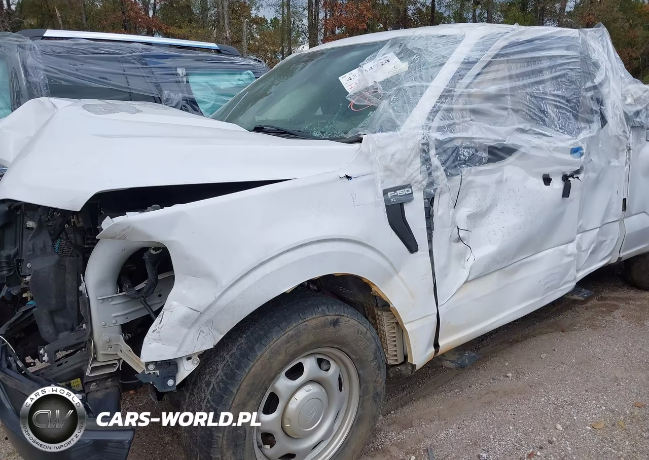 2021 Ford F-150 Xl VIN:1FTEX1C51MKD61827 - 11