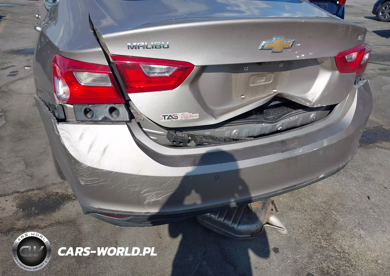 2023 Chevrolet Malibu Fwd 1Lt VIN:1G1ZD5ST3PF209488 - 18