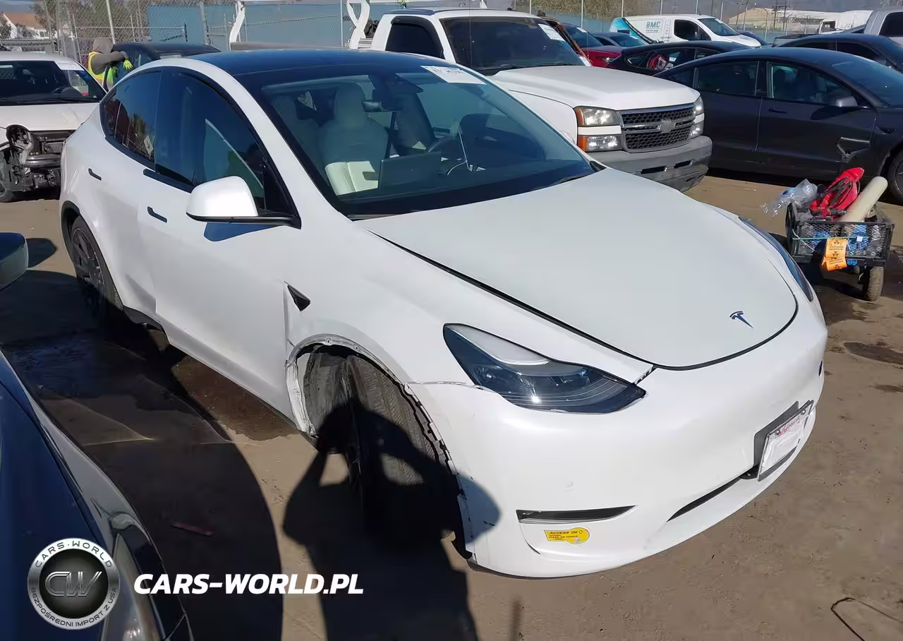 2022 Tesla Model Y Performance Dual Motor All-Wheel Drive