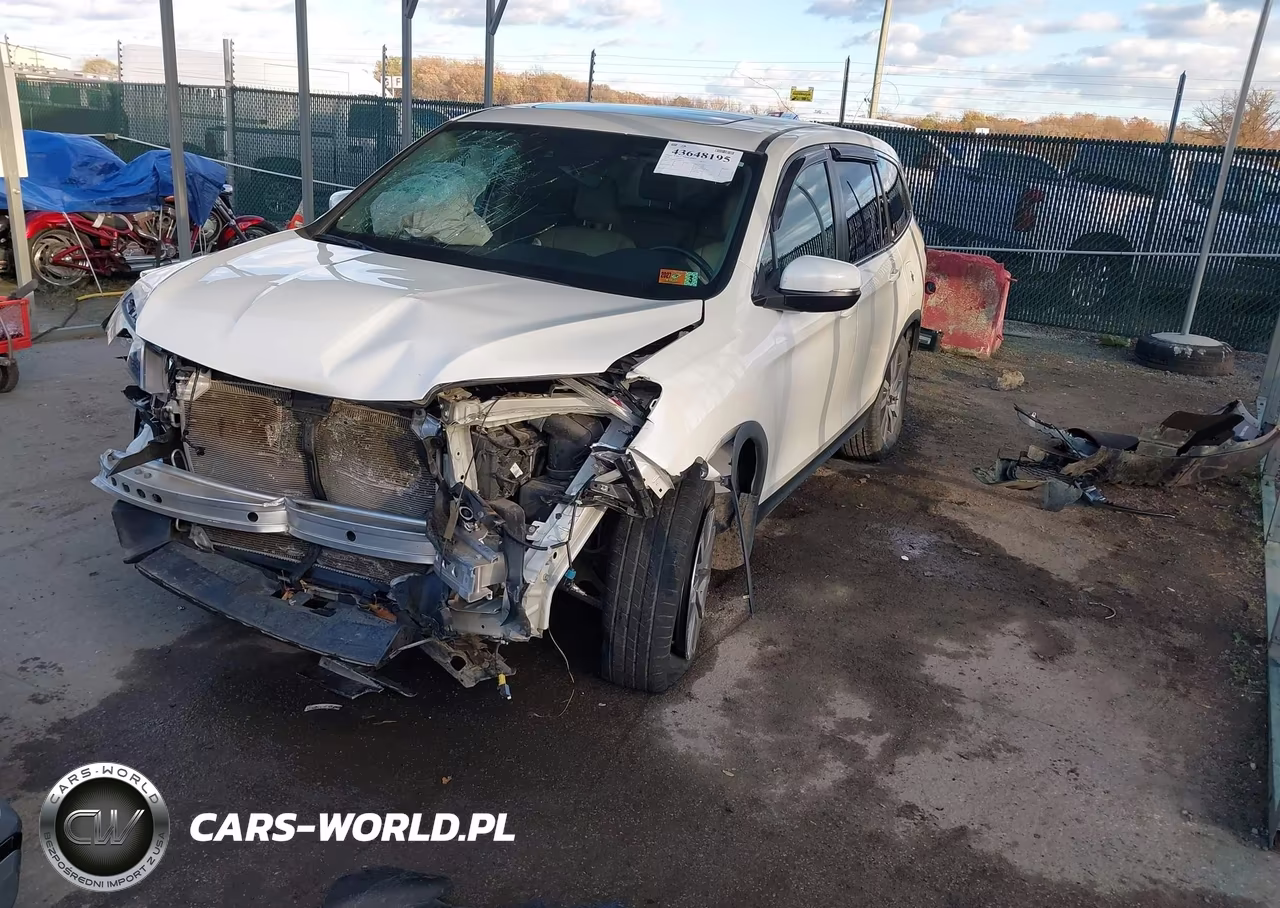 2019 Honda Pilot Ex-L VIN:5FNYF6H50KB039020 - 2