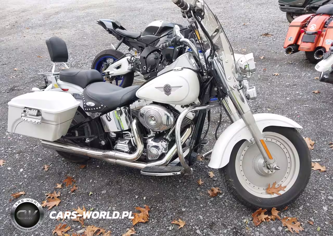 2004 Harley-Davidson Flstfi