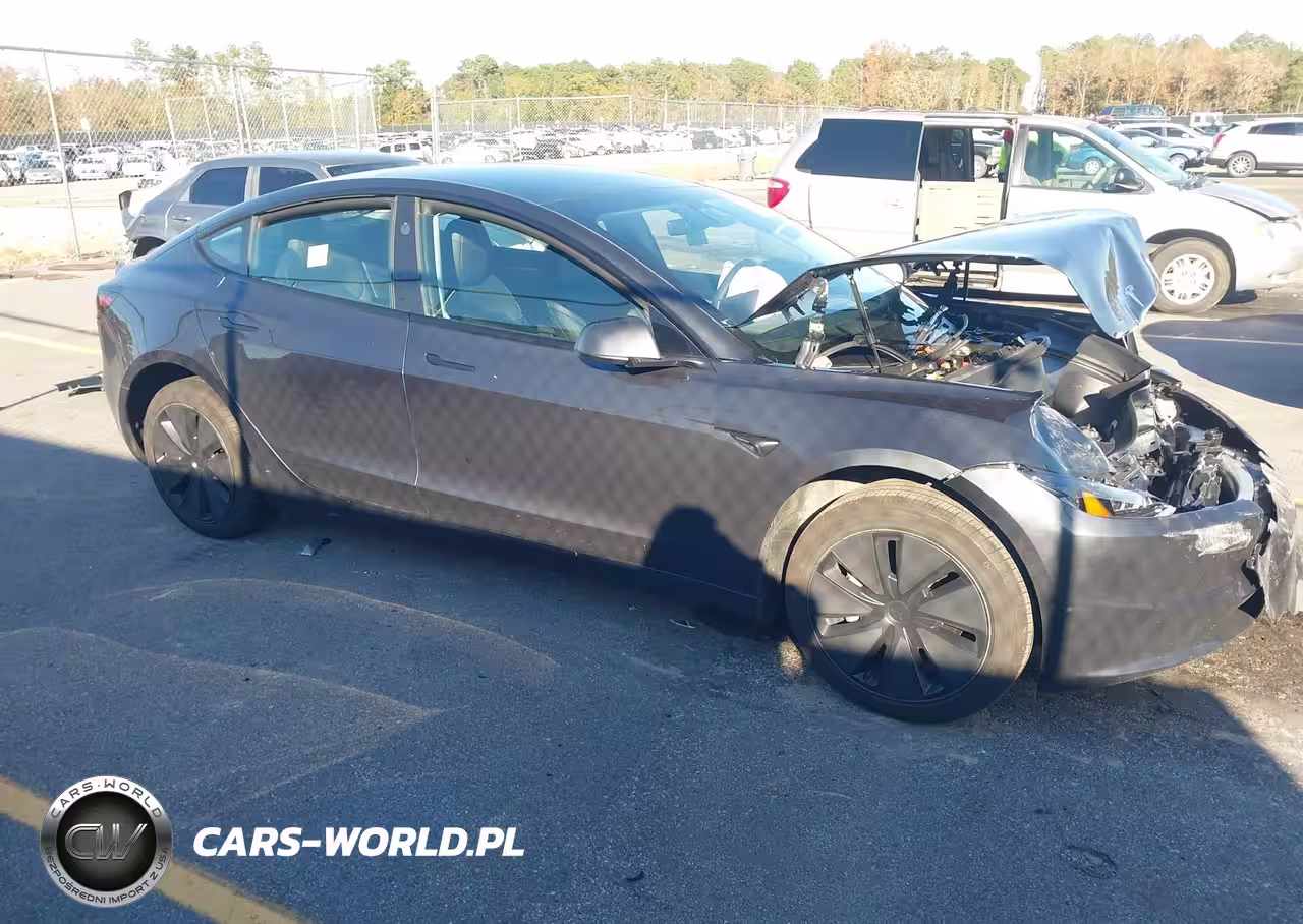 2025 Tesla Model 3 Long Range Rear-Wheel Drive-Standard