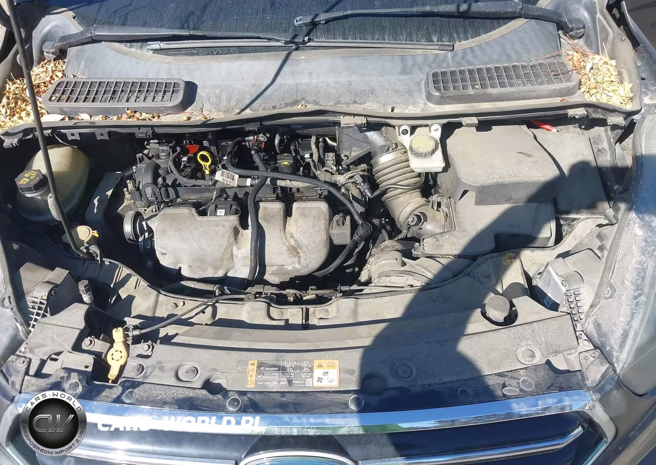 2017 Ford Escape Se VIN:1FMCU0G98HUE24063 - 10