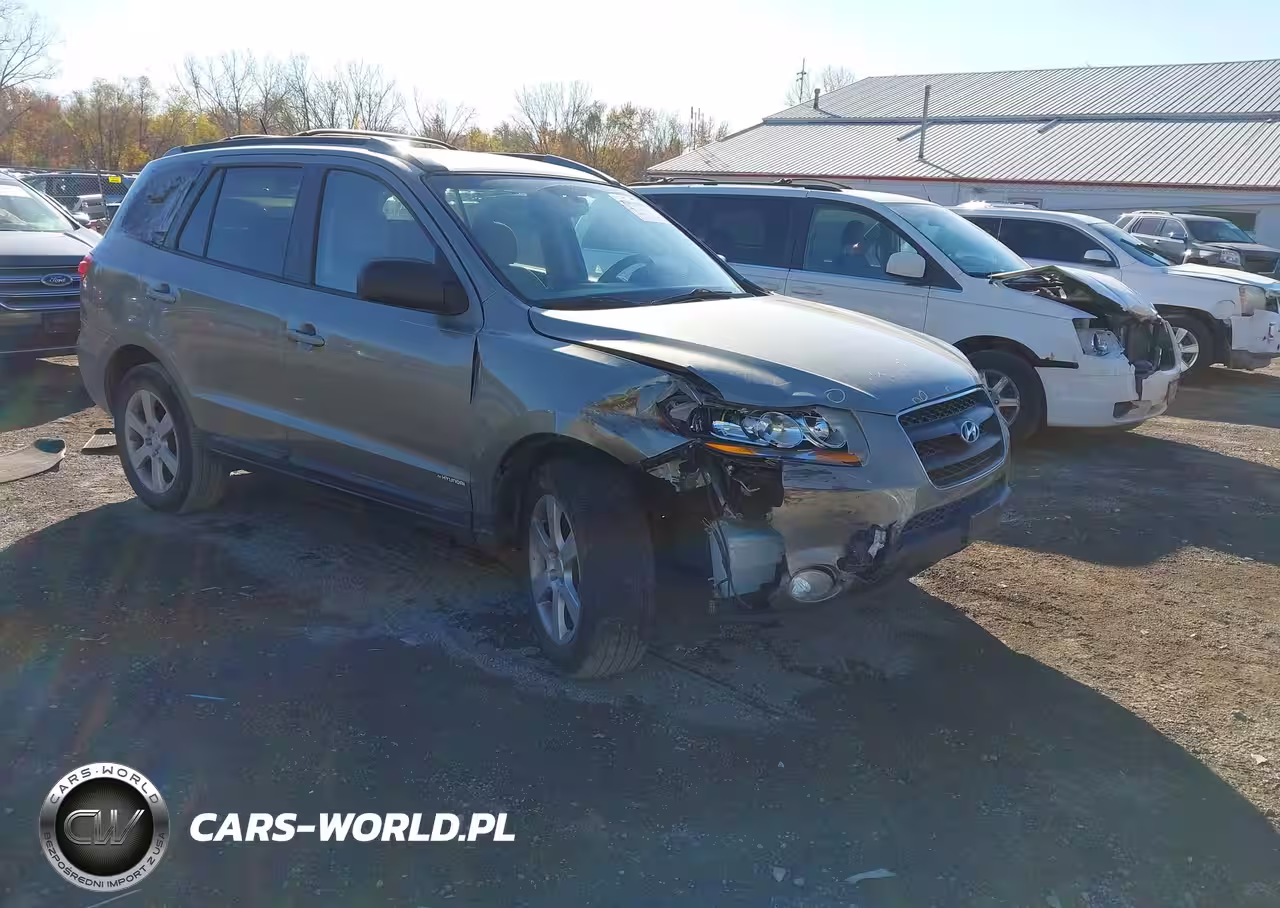2009 Hyundai Santa Fe Se