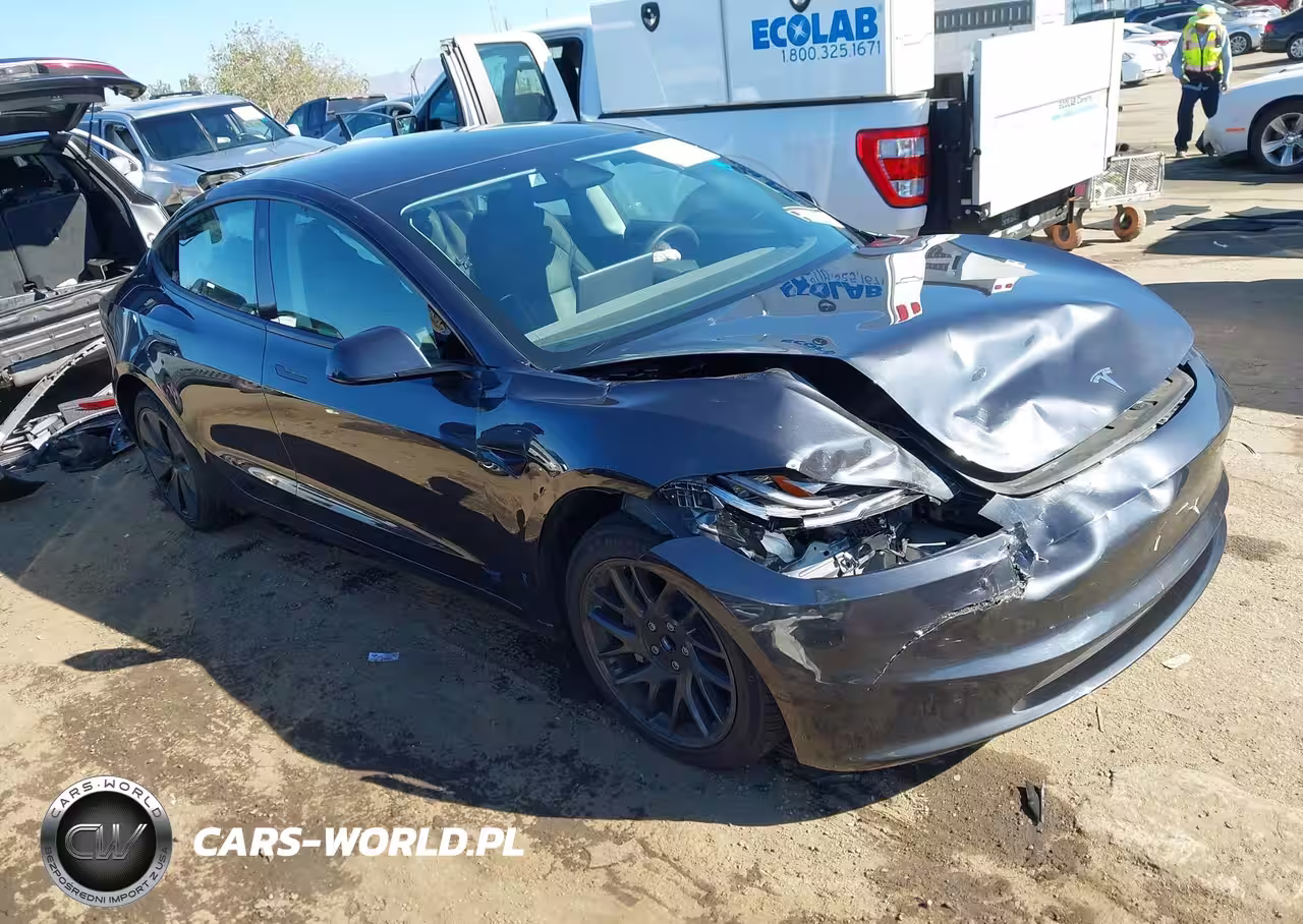 2025 Tesla Model 3 Long Range Rear-Wheel Drive-Standard